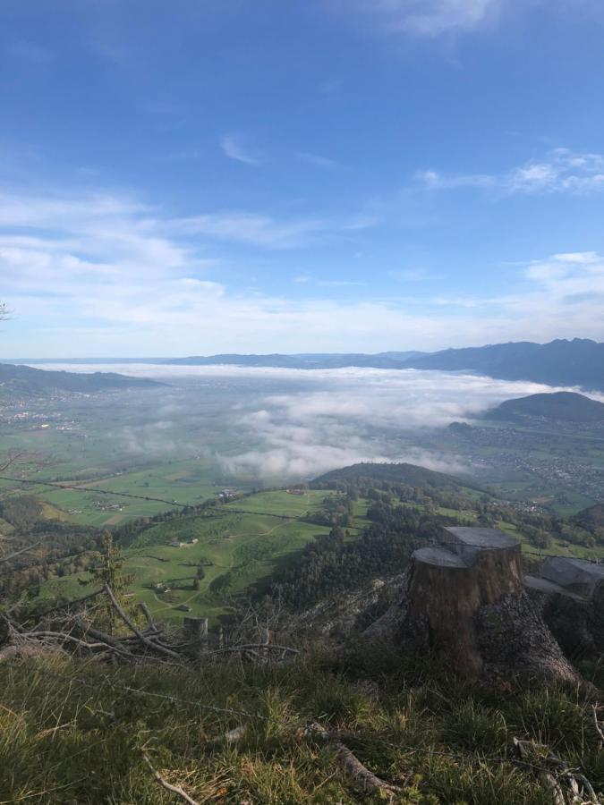 Montlinger Schwamm Oberriet