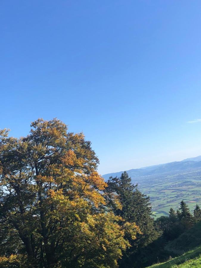 Montlinger Schwamm * Oberriet